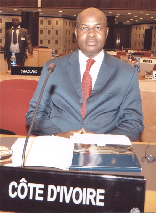 Revue du Programme d’Action d’Almaty Les Etats africains préparent le rendez-vous de 2014